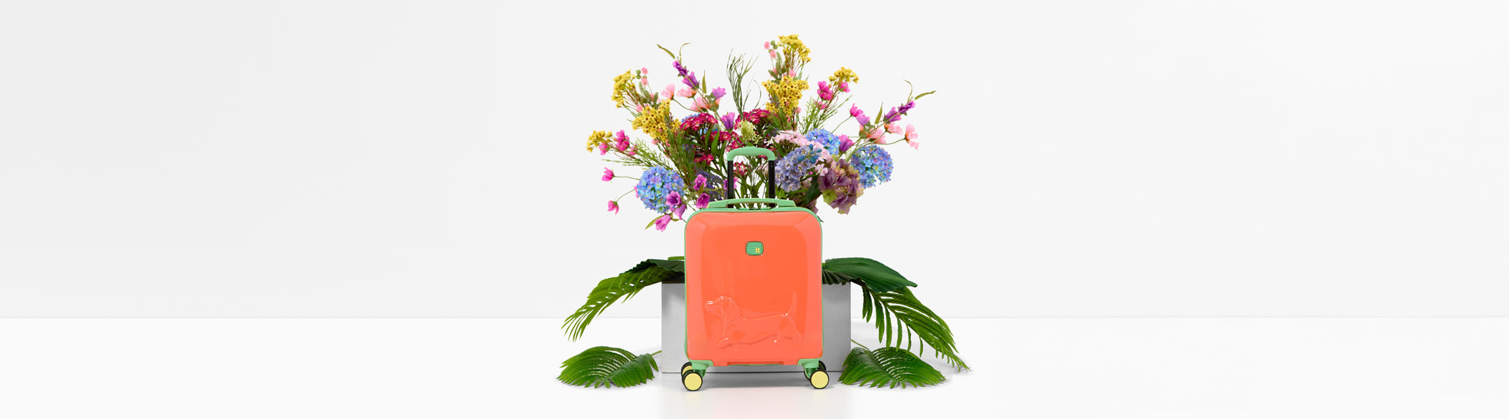 Kids Suitcases